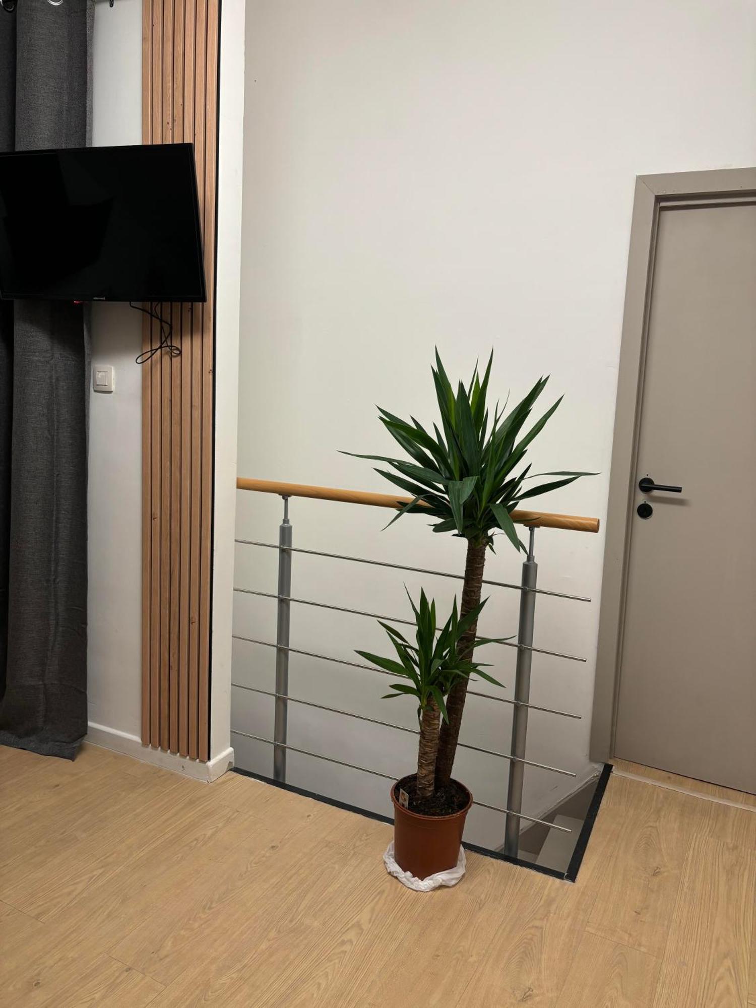 Ubuntu House - Charleroiアパートメント エクステリア 写真